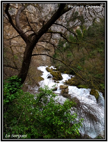 La Sorgue  Fontaine