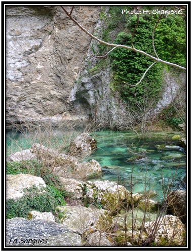 La Sorgue  Fontaine