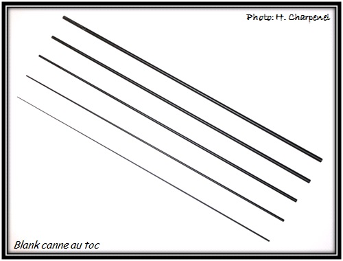 Blank canne au toc