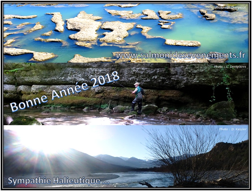 voeux 2018 salmonides evenements