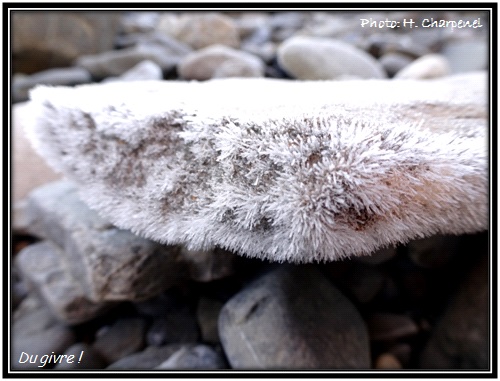 Le Givre  ...