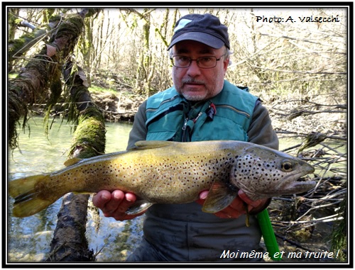 Grosse truite du Jura