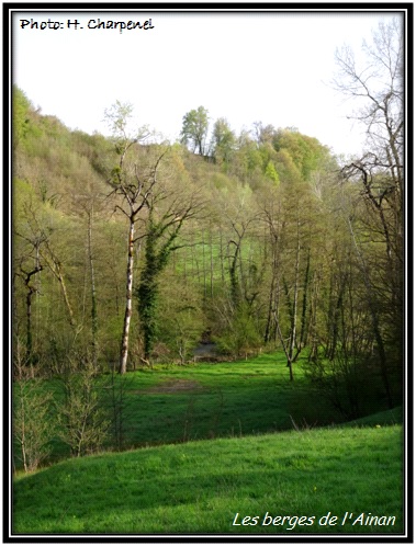 Les berge de l'Ainan