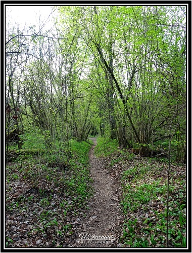 Chemin de la Haute Savoie