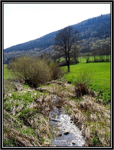 Petit ruisseau de l'Ain