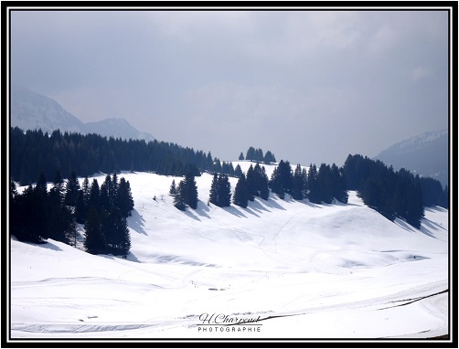 plateau des glières