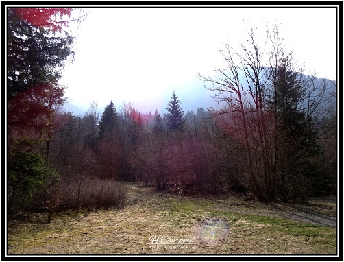 Haute Savoie