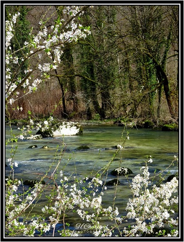 L'Albarine