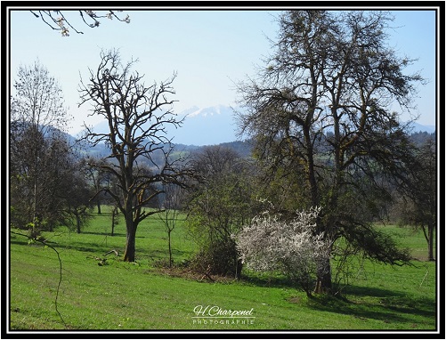 Haute Savoie