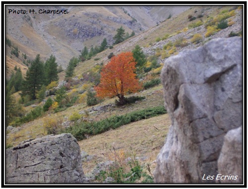 Les Ecrins