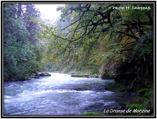 La Dranse de Morzine