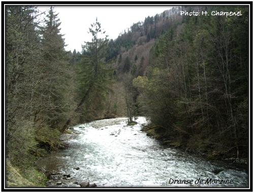 Dranse de morzine