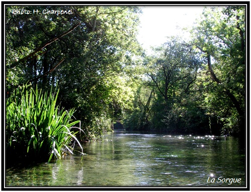 La Sorgue à Fontaine