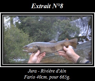 Extrait N°8