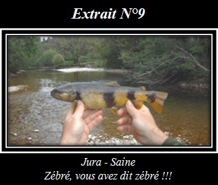 Cliquez pour visionner l'extrait Extrait N°9