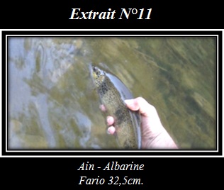 Cliquez pour visionner l'extrait Extrait N°11