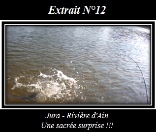 Extrait N12