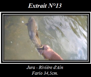Extrait N13