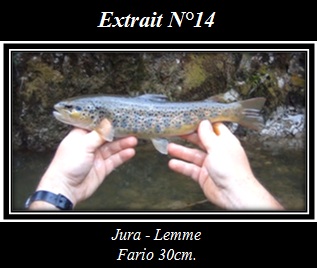 Cliquez pour visionner l'extrait Extrait N°14