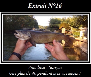 Cliquez pour visionner l'extrait
