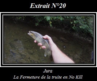 Cliquez pour visionner l'extrait