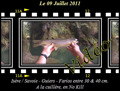 Fario dans les gorges de chailles, en No Kill