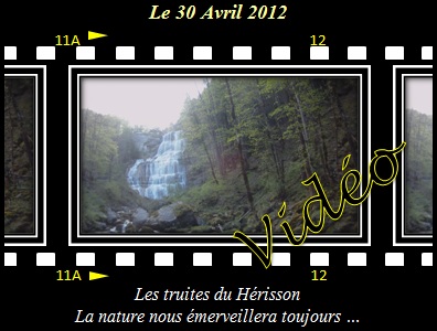 Les truite des cascades du hrisson