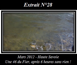 Extrait N14