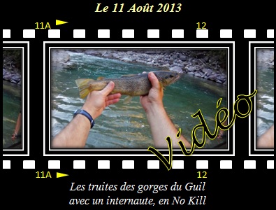 Les truites des gorges du Guil avec un internaute