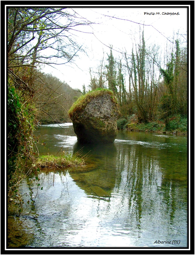 Albarine
