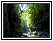 Borne