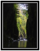Borne