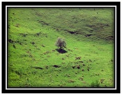 Haute Savoie
