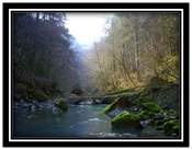 Dranse de Morzine