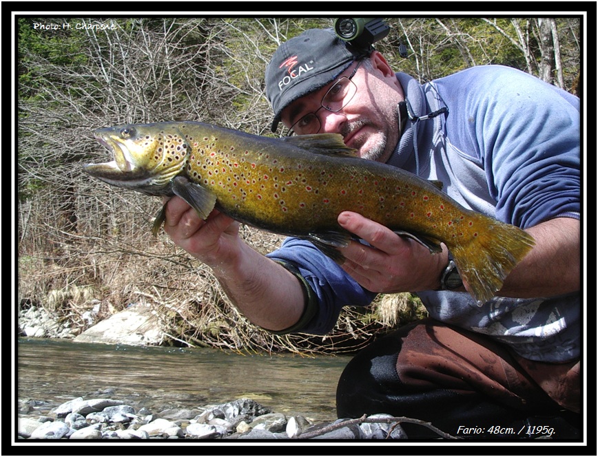 Fario  la cuillre dans le Borne