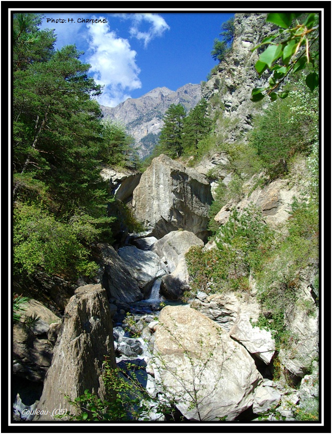 couleau