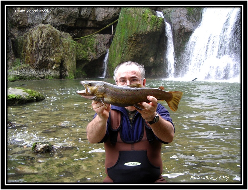 Fario  la cuillre dans la Lemme