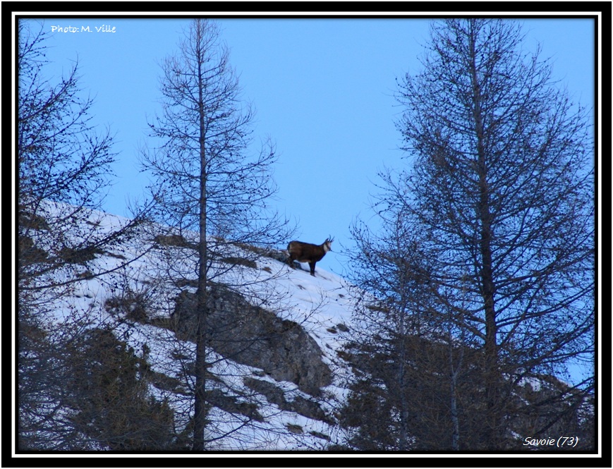 Savoie